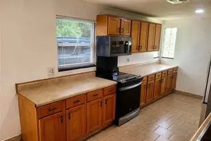 23334 Brandy Rd, Land O Lakes, FL 34639 - Photo 16