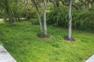 9117 Wood Terrace Dr, Tampa, FL 33637 - Photo 46