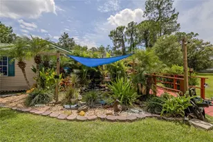 29913 Briarthorn Loop, Wesley Chapel, FL 33545 - Photo 4