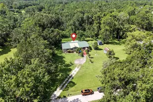 29913 Briarthorn Loop, Wesley Chapel, FL 33545 - Photo 36