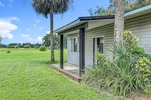 3804 Gallagher Rd, Dover, FL 33527 - Photo 90