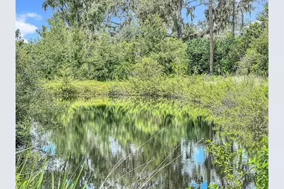 3804 Gallagher Road, Dover, FL 33527 - Photo 92