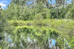 3804 Gallagher Rd, Dover, FL 33527 - Photo 92