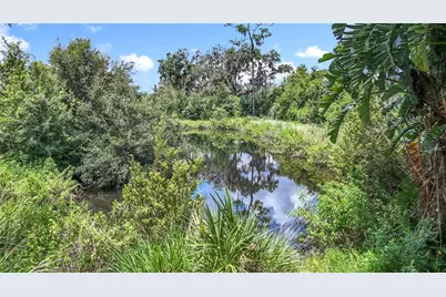 3804 Gallagher Road, Dover, FL 33527 - Photo 86