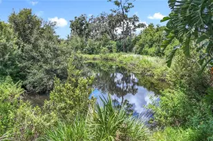 3804 Gallagher Rd, Dover, FL 33527 - Photo 86