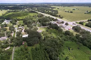 1405 Knights Griffin Rd, Plant City, FL 33565 - Photo 86