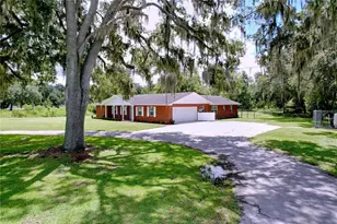 1405 Knights Griffin Rd, Plant City, FL 33565 - Photo 10