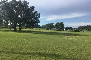 11951 SE 130th Ct, Dunnellon, FL 34431 - Photo 46