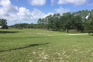 11951 SE 130th Ct, Dunnellon, FL 34431 - Photo 44