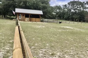 11951 SE 130th Ct, Dunnellon, FL 34431 - Photo 32