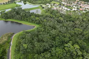 7322 Bridgeview Dr, Wesley Chapel, FL 33545 - Photo 72