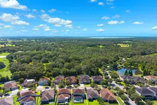 11206 Coventry Grove Cir, Lithia, FL 33547 - Photo 50