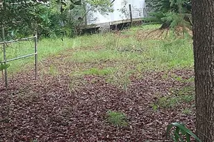 23818 NE 140th Ave, Fort Mc Coy, FL 32134 - Photo 1