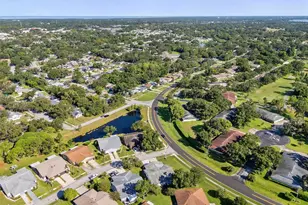 3201 McMath Dr, Palm Harbor, FL 34684 - Photo 38