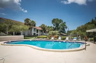 2119 Elm St, Dunedin, FL 34698 - Photo 32