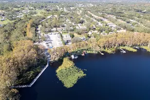 3284 Gorse Ct, Palm Harbor, FL 34684 - Photo 54