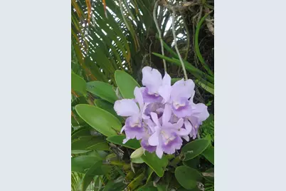 3284 Gorse Court, Palm Harbor, FL 34684 - Photo 10