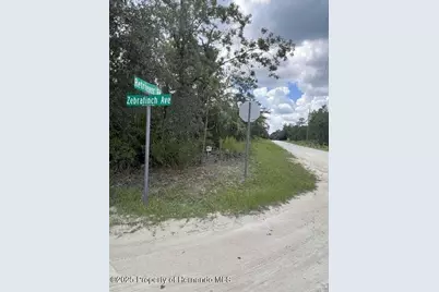 0 Zebrafinch Avenue, Weeki Wachee, FL 34614 - Photo 1