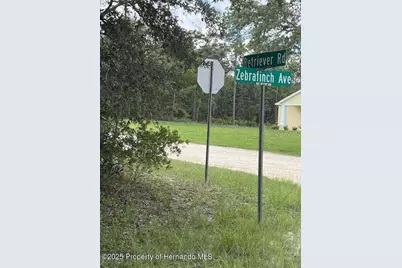 0 Zebrafinch Avenue, Weeki Wachee, FL 34614 - Photo 2