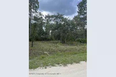 0 Zebrafinch Avenue, Weeki Wachee, FL 34614 - Photo 6