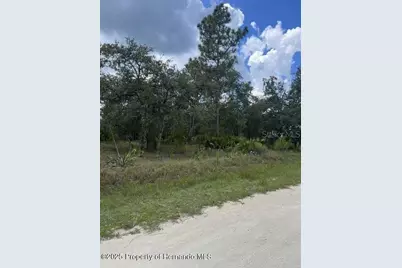 0 Zebrafinch Avenue, Weeki Wachee, FL 34614 - Photo 4