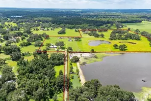 38730 Mickler Rd, Dade City, FL 33523 - Photo 36