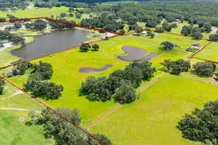 38730 Mickler Rd, Dade City, FL 33523 - Photo 34