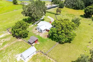 38730 Mickler Rd, Dade City, FL 33523 - Photo 28