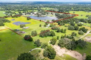 38730 Mickler Rd, Dade City, FL 33523 - Photo 32