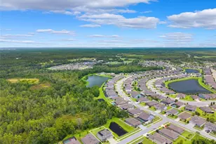 18363 E Porfirio Pl, Spring Hill, FL 34610 - Photo 42