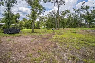 6830 N Dormany Rd, Plant City, FL 33565 - Photo 30