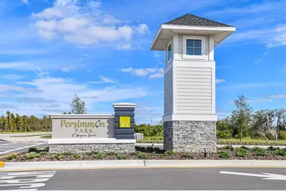 28796 Jujube Road, Wesley Chapel, FL 33543 - Photo 6