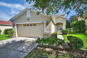 30619 White Bird Ave, Wesley Chapel, FL 33543 - Photo 1