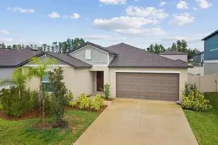 8775 Little Bluestem Dr, Land O Lakes, FL 34637 - Photo 1