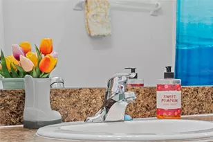10425 Red Carpet Ct, Riverview, FL 33578 - Photo 16