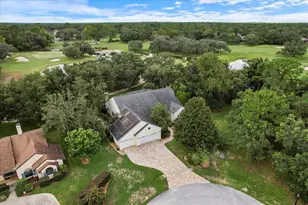 6 Woodlee Ct N, Homosassa, FL 34446 - Photo 62