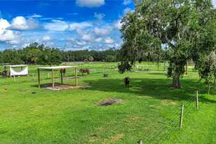 1422 Lightfoot Rd, Wimauma, FL 33598 - Photo 88