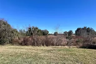 37187 Clinch Cir, Zephyrhills, FL 33540 - Photo 18