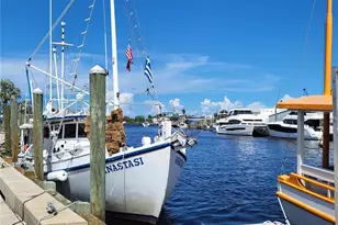 1023 Lake Avoca Pl, Tarpon Springs, FL 34689 - Photo 34