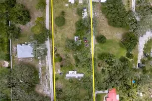 11205 McMullen Rd, Riverview, FL 33569 - Photo 46