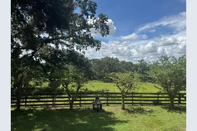 36641 Blanton Road, Dade City, FL 33523 - Photo 44