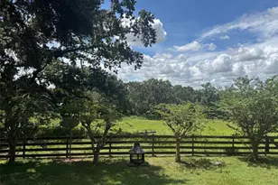 36641 Blanton Rd, Dade City, FL 33523 - Photo 44