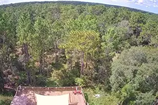 5590 W X-Anne Ln, Dunnellon, FL 34433 - Photo 34