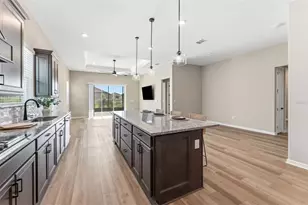 8360 SW 58th Loop, Ocala, FL 34481 - Photo 4