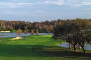 36750 US Hwy 19, Palm Harbor, FL 34684 - Photo 74