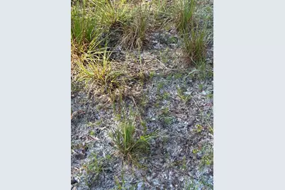 Quail Hollow Blvd Boulevard, Wesley Chapel, FL 33544 - Photo 4