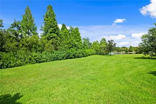 1213 Merry Water Dr, Lutz, FL 33548 - Photo 70