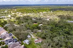 11205 McMullen Rd, Riverview, FL 33569 - Photo 54