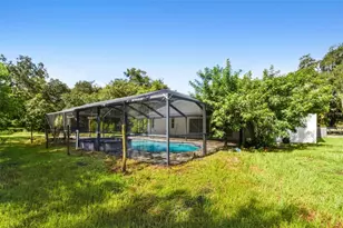 2513 N Valrico Rd, Seffner, FL 33584 - Photo 82