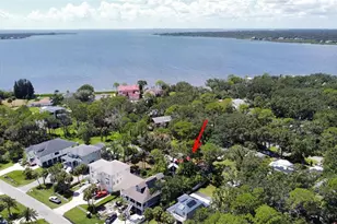3073 Duane Ave, Oldsmar, FL 34677 - Photo 6